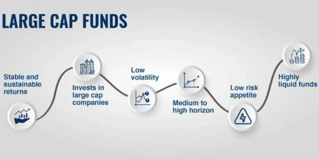 Top 10 Large Cap Mutual Funds
